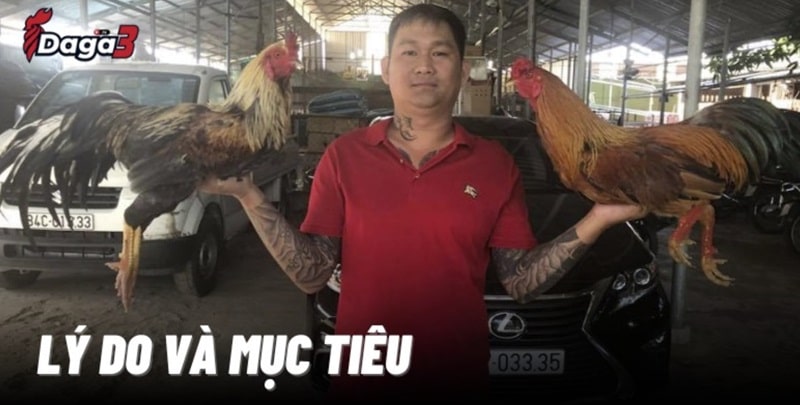 Mít Trà Cú sáng lập trang đá gà trực tiếp www.bvmkunststoftechniek.nl